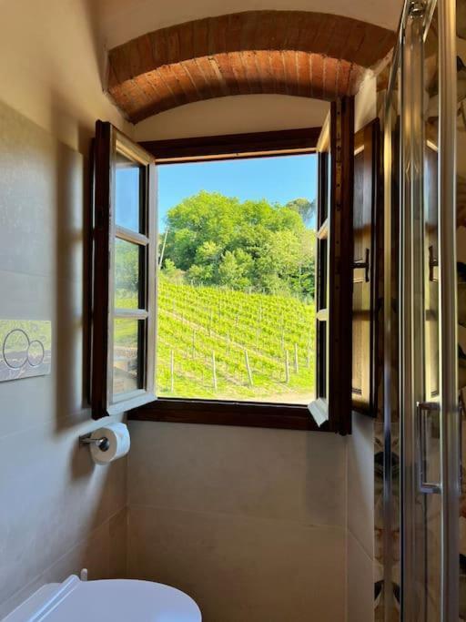 Il Signorino Lucolena in Chianti